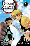 Demon Slayer. Tome 03