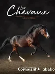 Les chevaux
