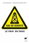 Gaz de schiste