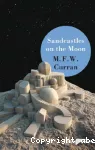 Sandcastles on the Moon